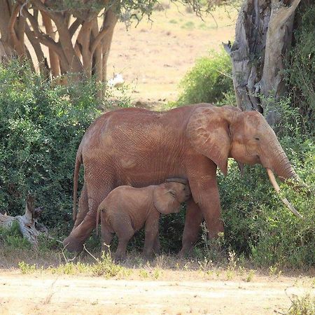 Nyumba Ya Afrika Bed & Breakfast Watamu Bagian luar foto
